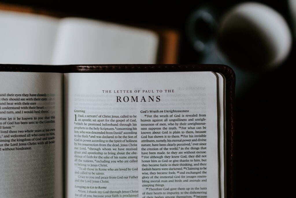 Rédactrice Web SEO - Ecriture d'un premier roman