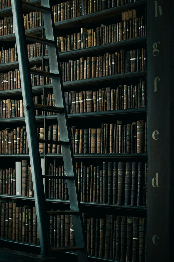 Actualité et événements - Blog littéraire dédié aux premiers romans - Photo de Henry Be sur Unsplash