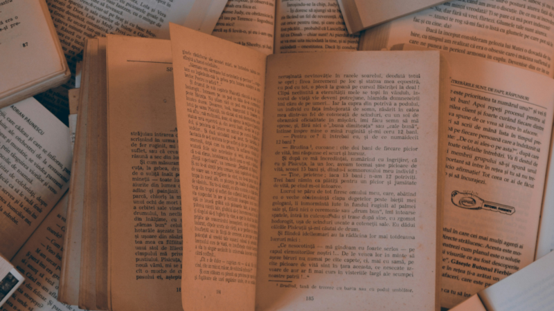 Les principaux genres littéraires : comprendre leurs spécificités