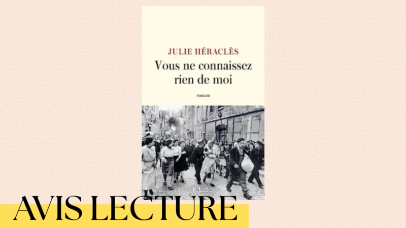 Vous ne connaissez rien de moi de Julie Héraclès