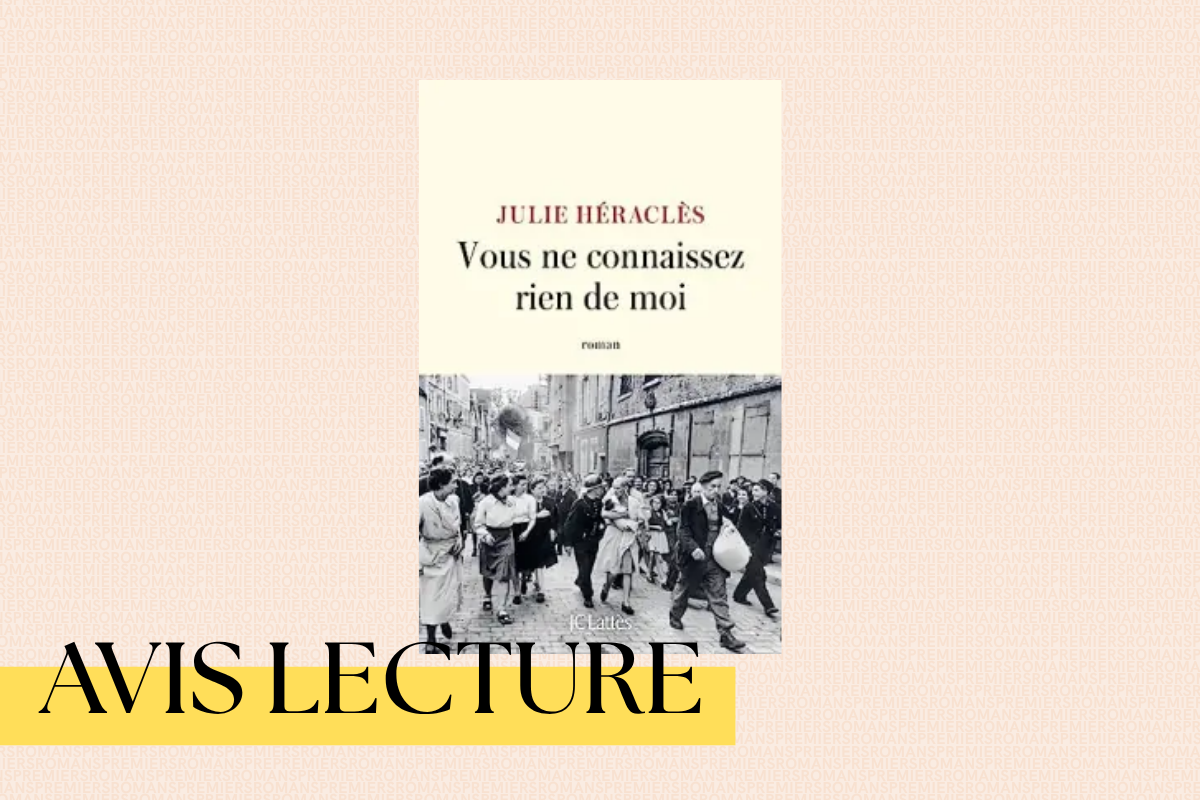Vous ne connaissez rien de moi de Julie Héraclès